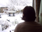 photo taken over my shoulder looking out onto a snowy back garden
